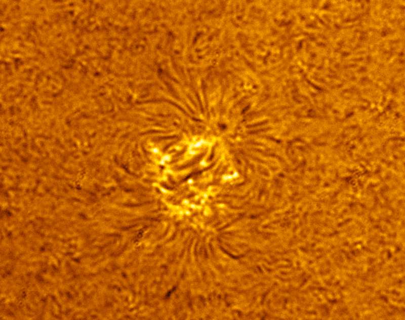 20210530_164903_L_0LN-03.gif