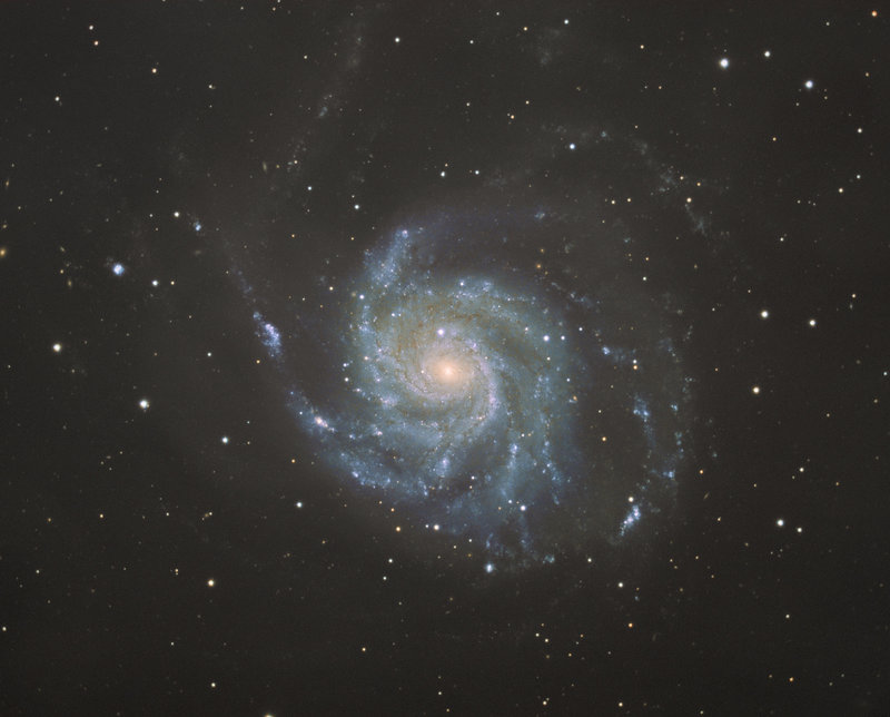 m101_normal_small.jpg