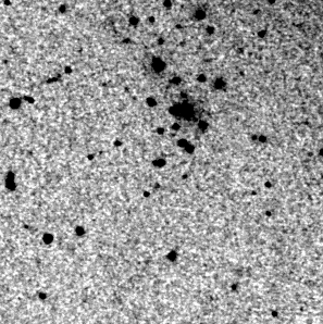J133220.6+470850. 19930302. Blåplåt. Från DSS.