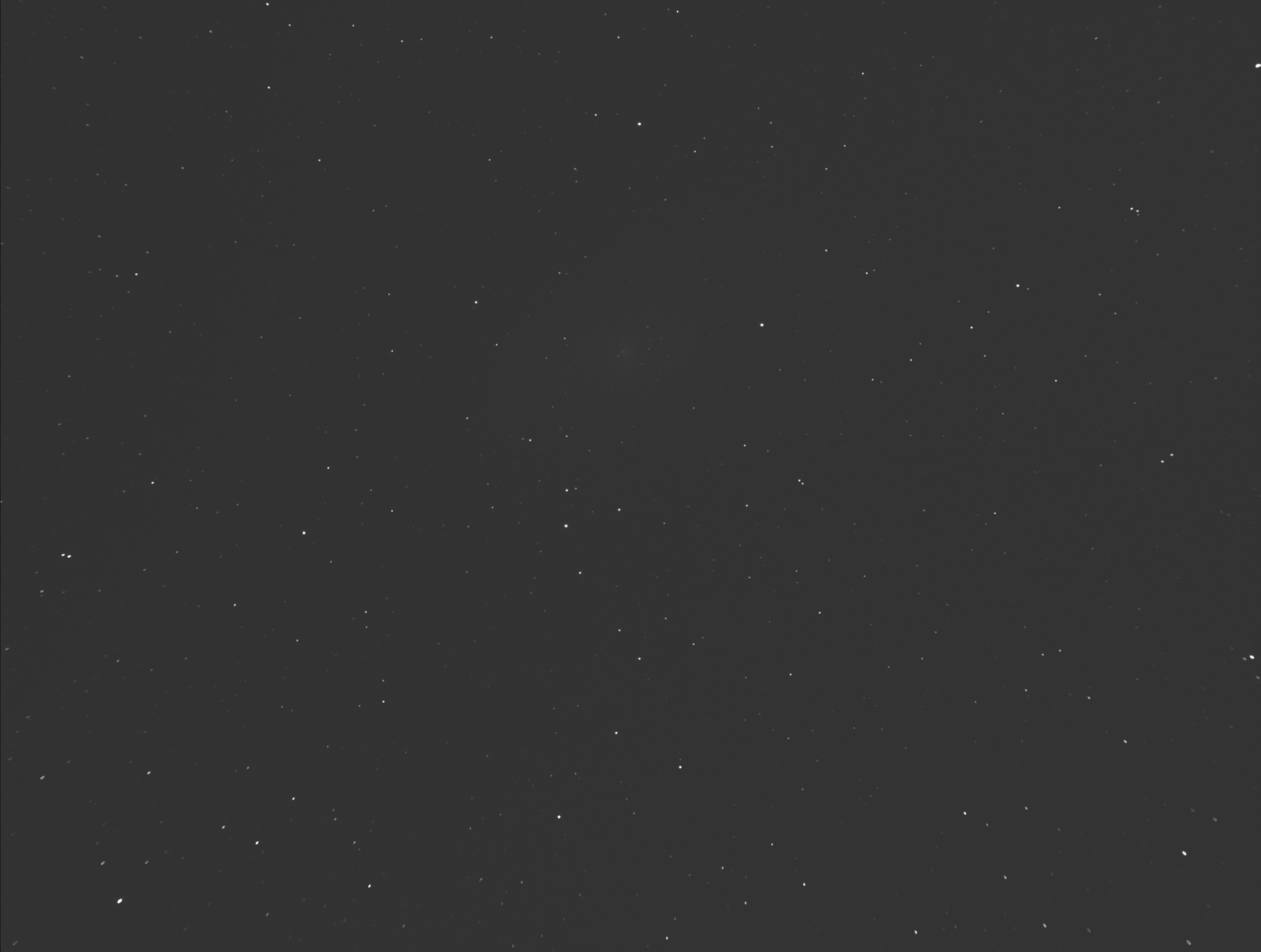 G.jpg