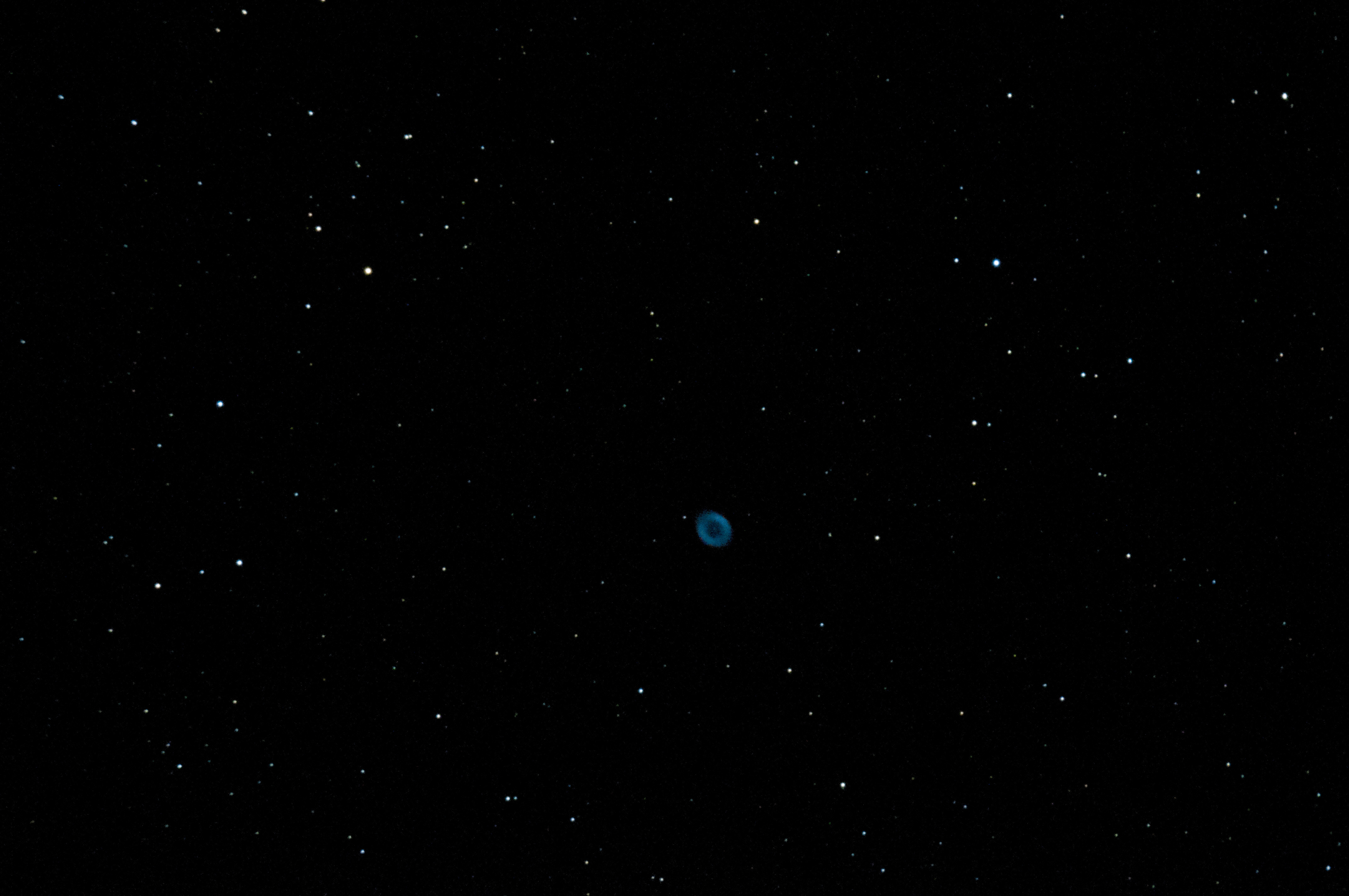 GS_20101007_0013.jpg