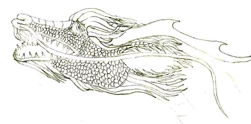 Chinese_Dragon_Head_by_mai1989.jpg