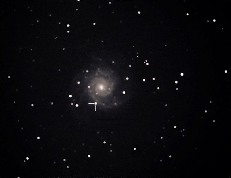 M74SN2013ejJPEG.jpg