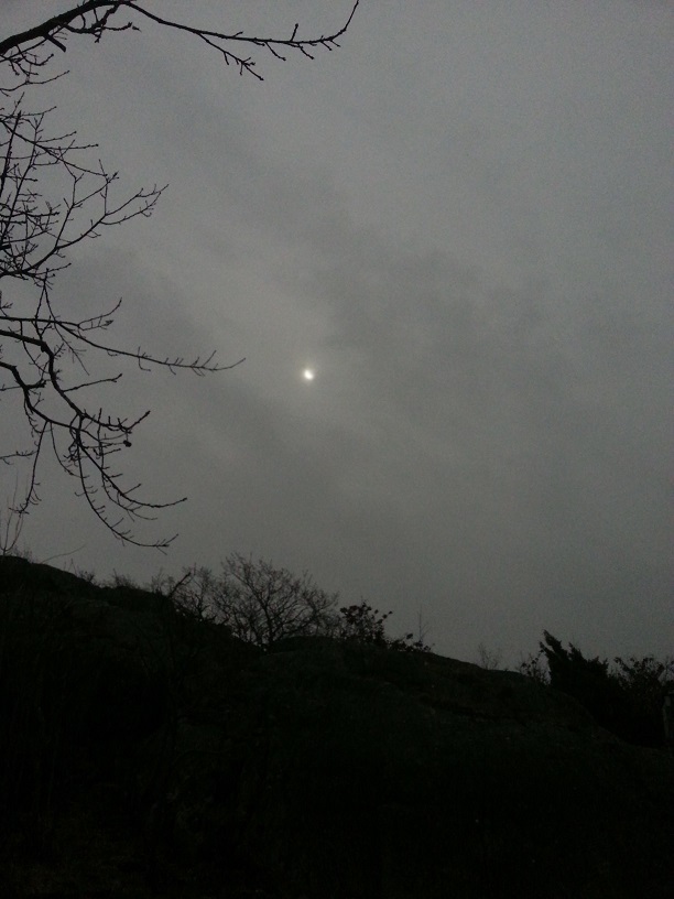Solföremörkelsen 20 mars 2015_liten.jpg