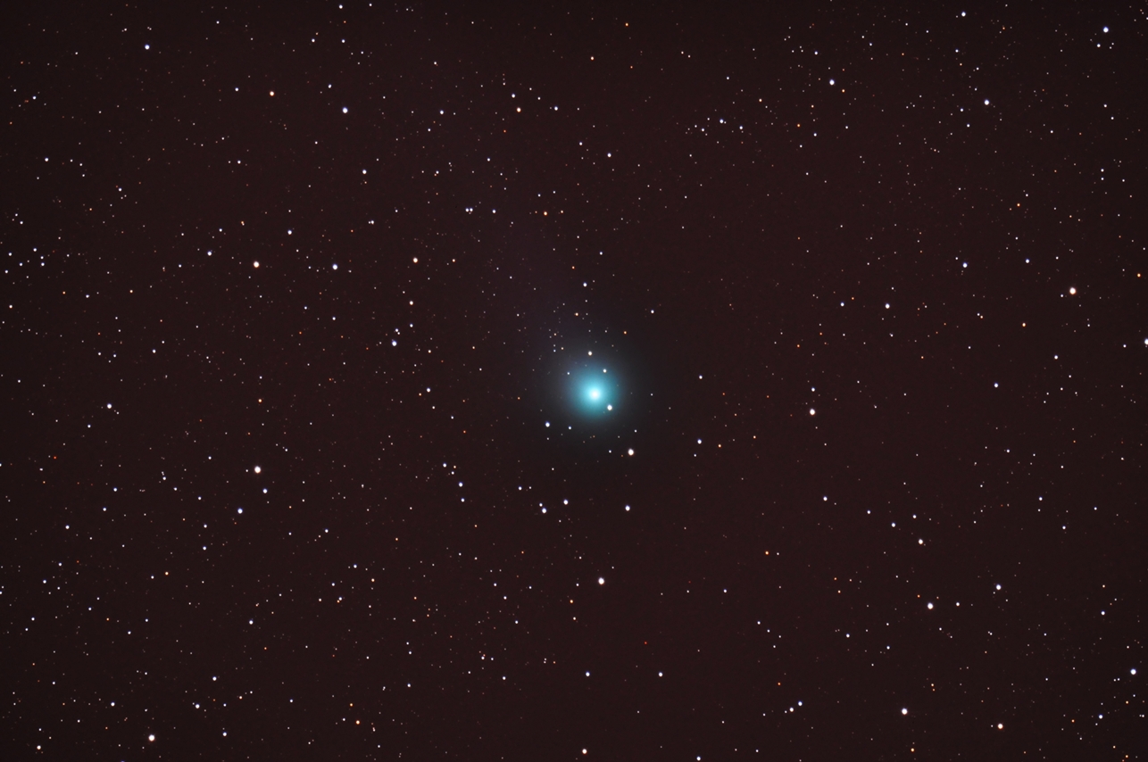 C_2014Q2_Lovejoy1.JPG