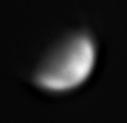 1607.jpg