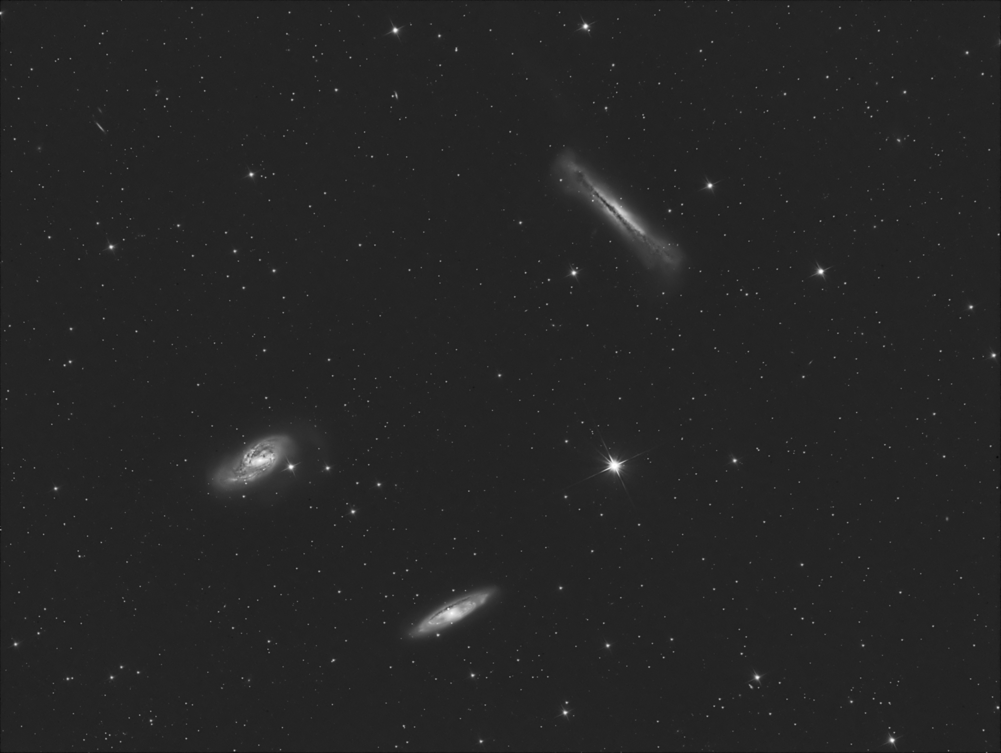 Leo Triplet