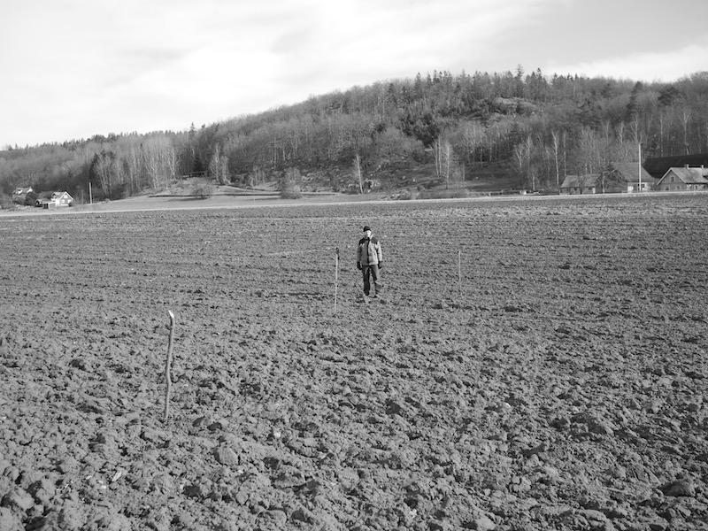 P1230157.jpg