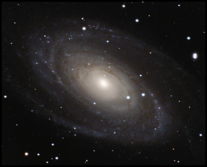 m81.jpg