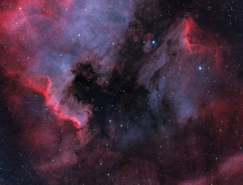 ngc7000 4 panel mosaic ver1-1-2PR.jpg