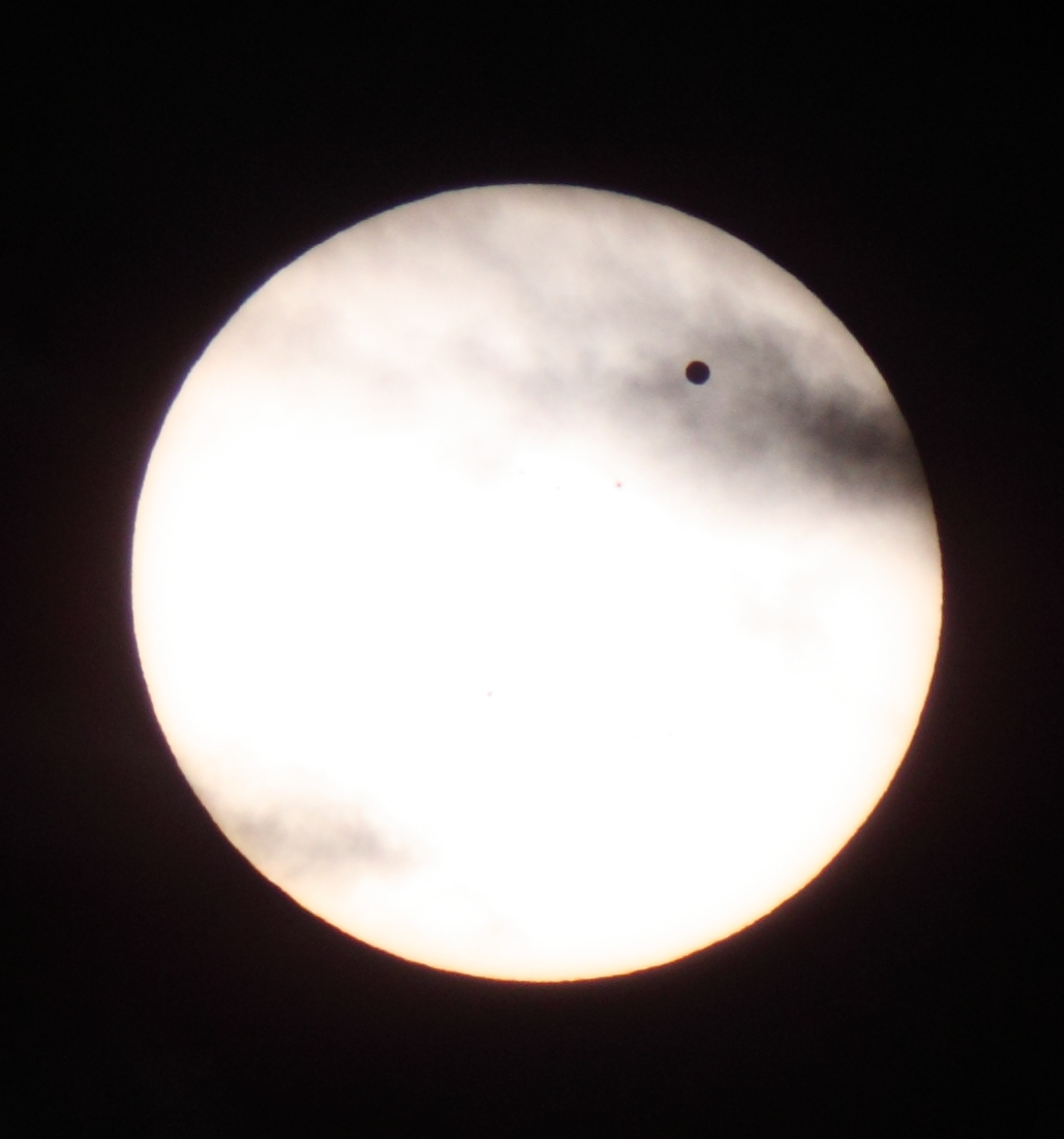 IMG_0032_crop.jpg