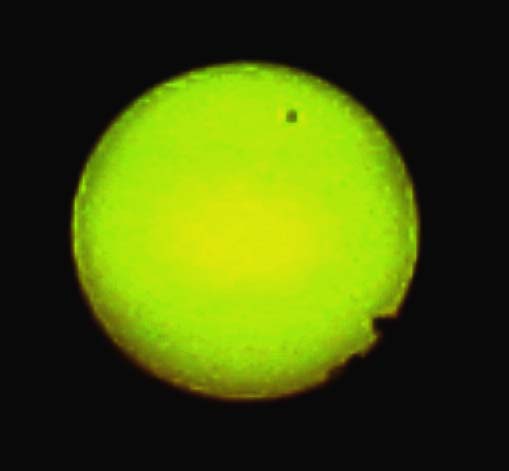 venuspassagen 2012-06-06.jpg