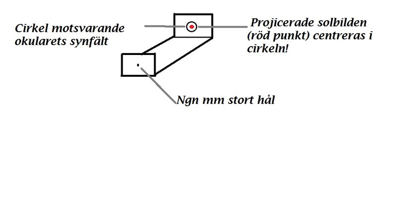 Solsökare.jpg