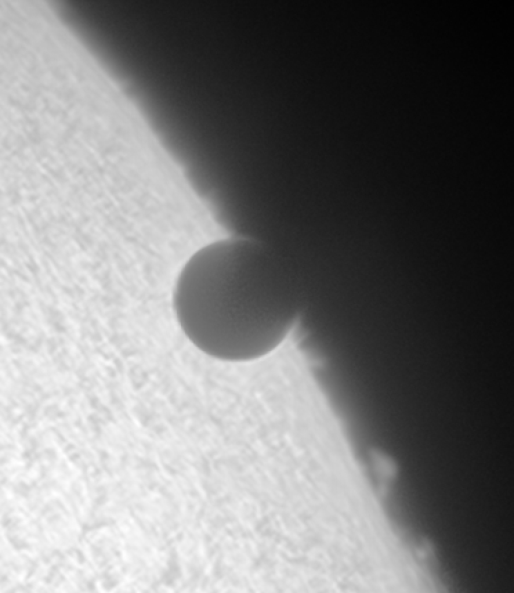 Transit Crop