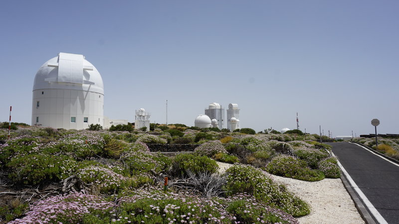 DSC00714.JPG