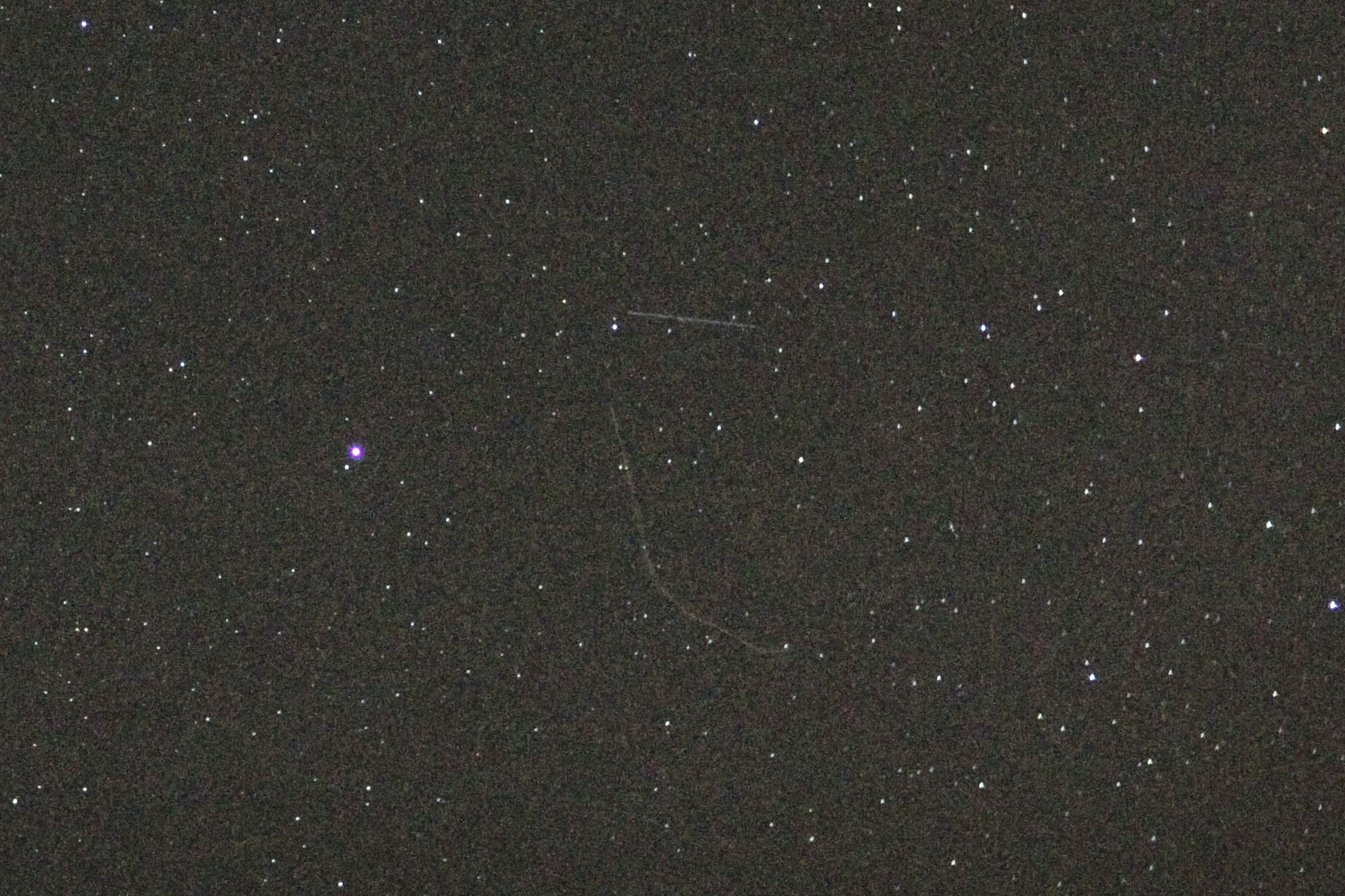 _MG_0013 Crop.jpg