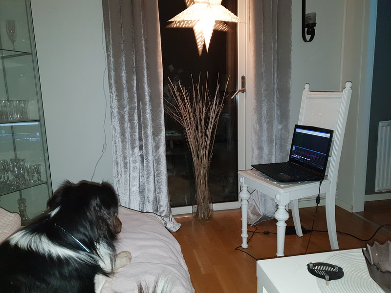 Rummet jag fotograferar från ink mkn hund som vaktar guideningen så den inte går över 1 rms han håller den på runt 0.4 duktig hund ;)
