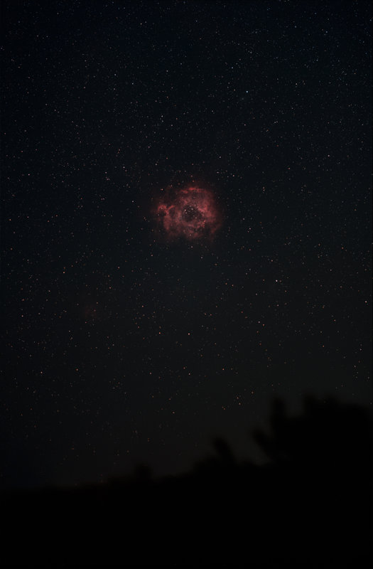 rosette_135mm.jpg