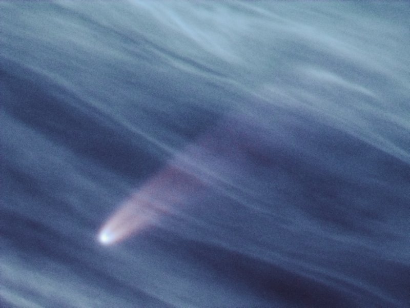 Neowise_C_2020_F3_1.jpg