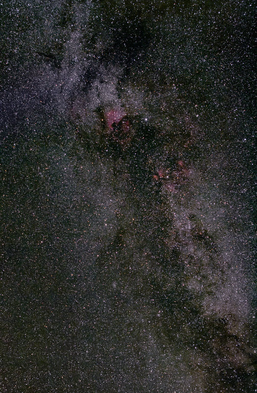 cyg milk (1).jpg