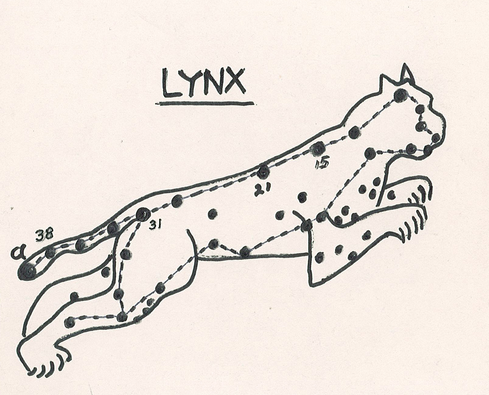 Fil:AAK Lynx.jpg
