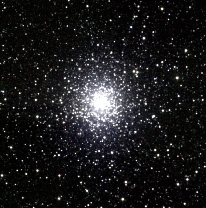 M19.jpg