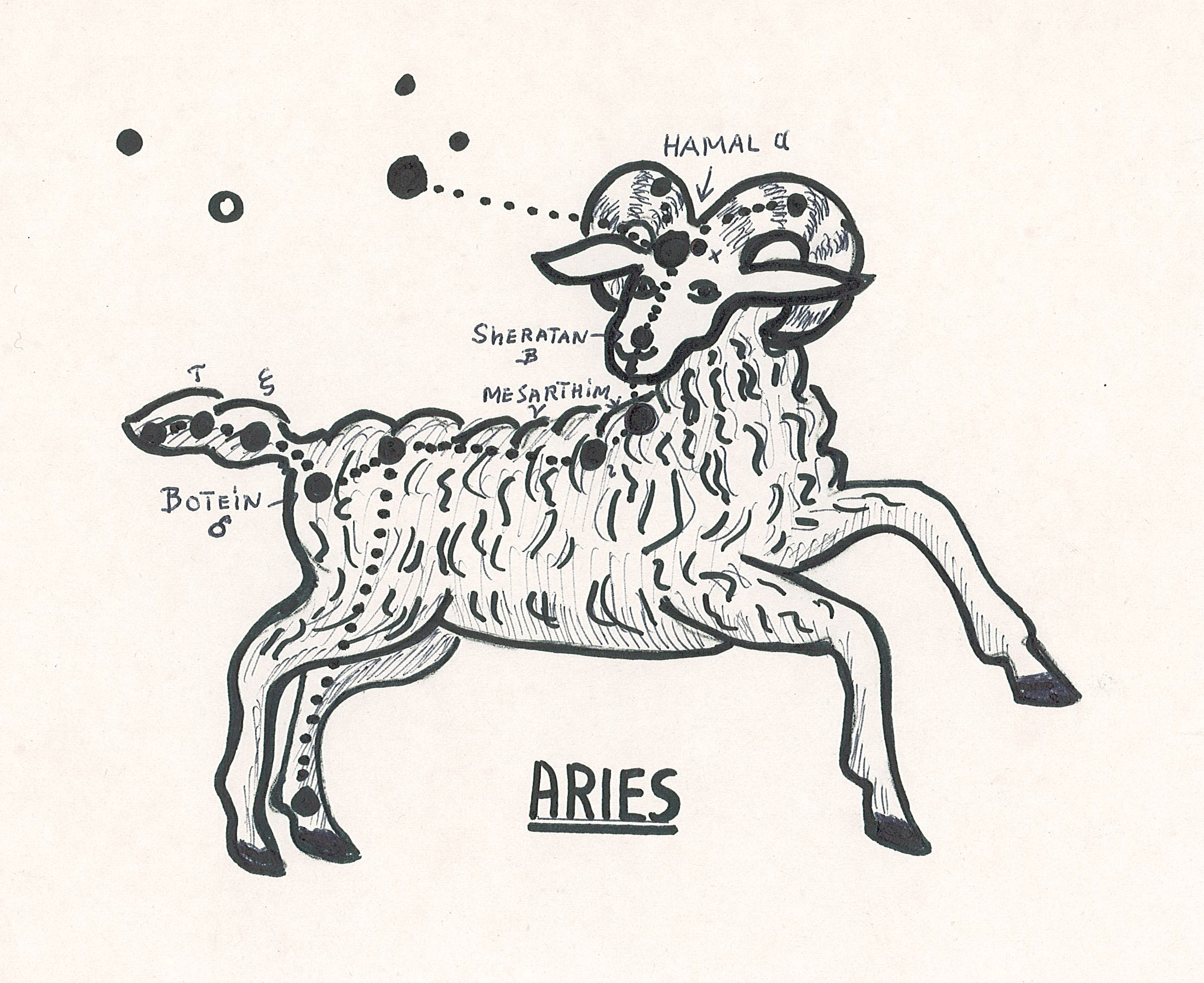 Fil:AAK Aries.jpg