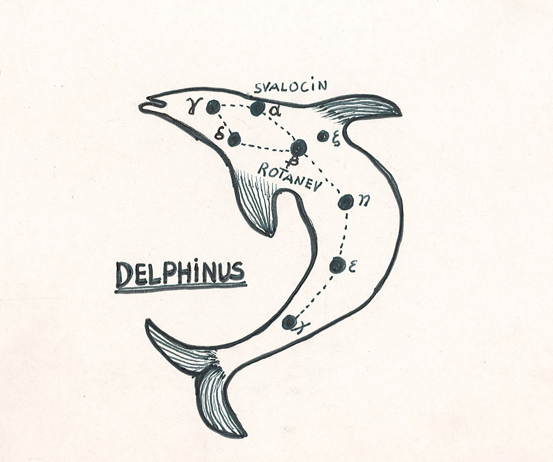 Fil:AAK Delphinus.jpg
