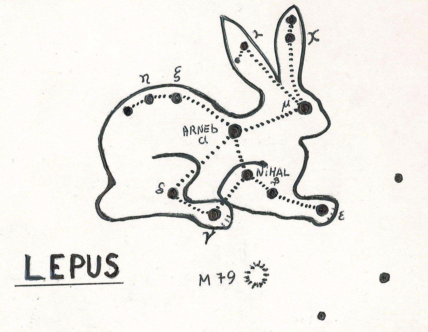 Fil:AAK Lepus.jpg
