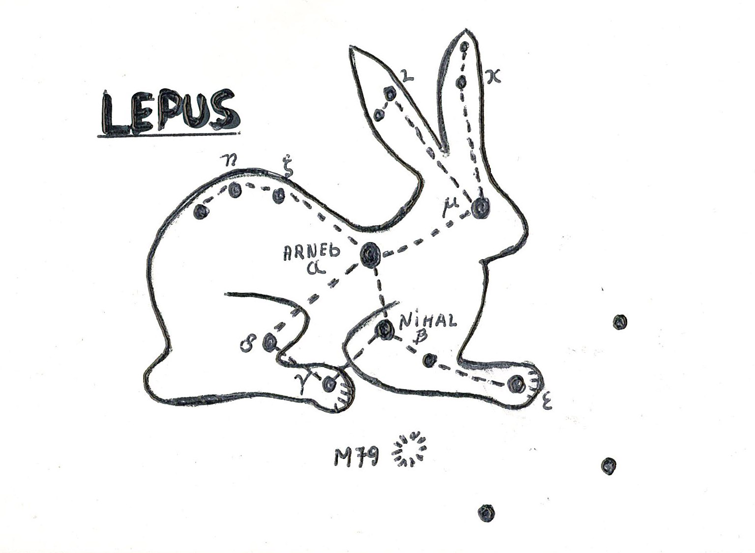 Fil:AAK Lepus2.jpg