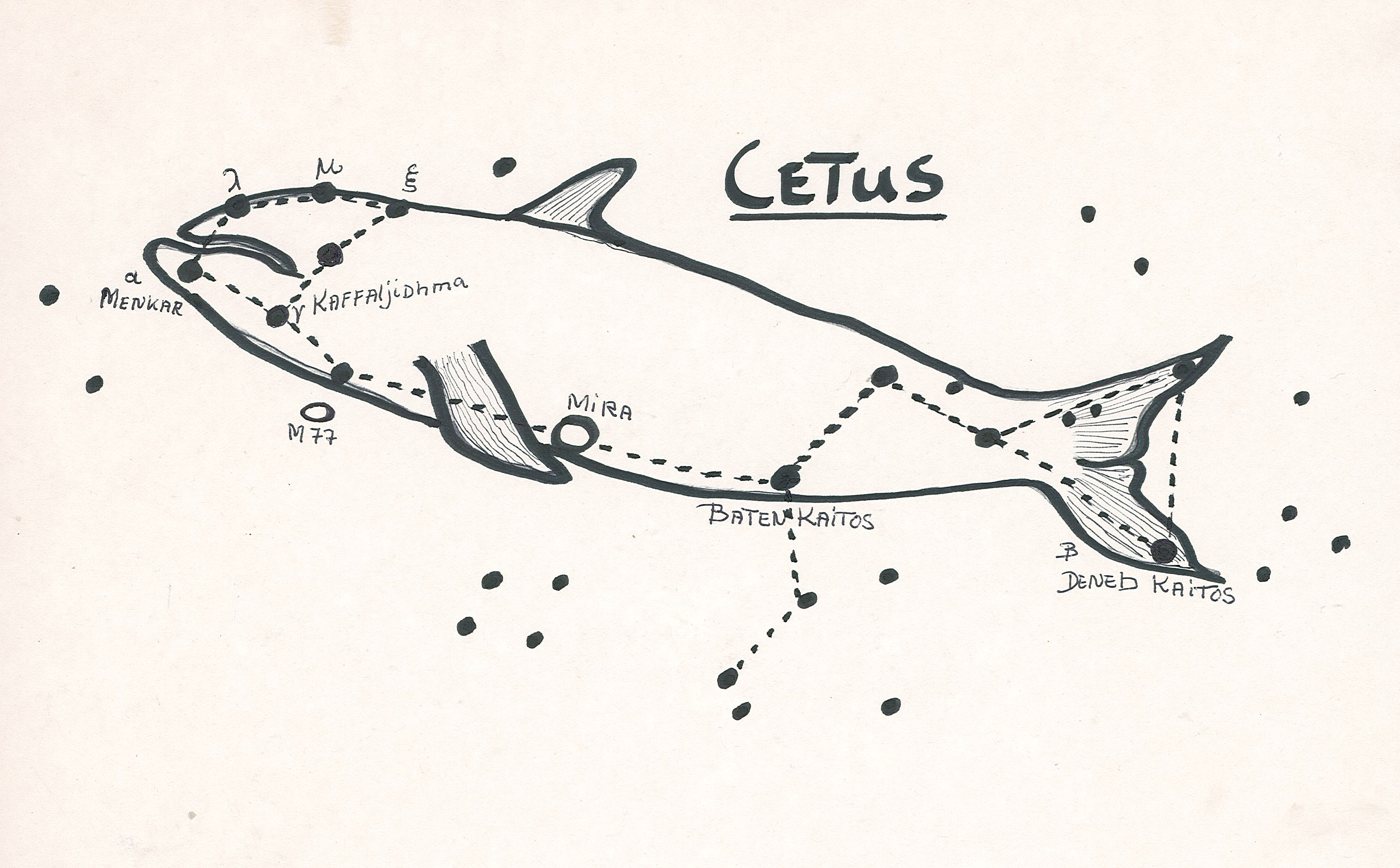 Fil:AAK Cetus.jpg